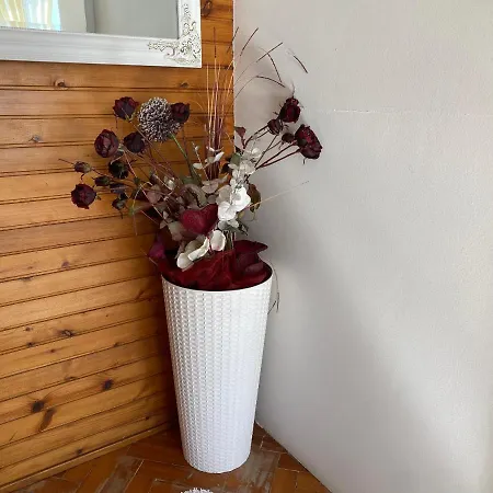 Apartman Yvone